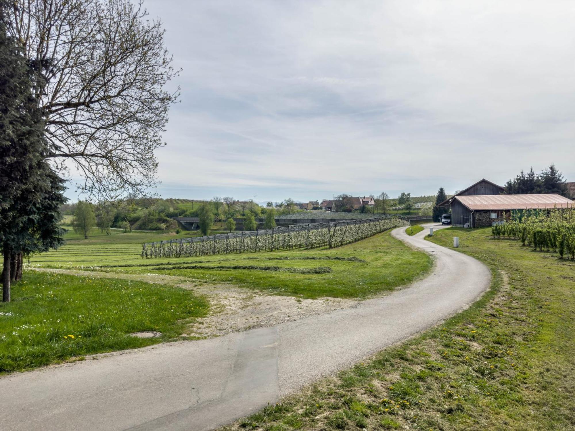 Ferienwohnung Lang Kressbronn am Bodensee Exterior foto